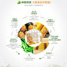 健康保健食品價格策略與批發渠道探析